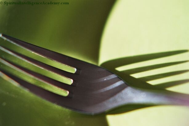 A fork with its clearly cast shadow. Illustration for the article 