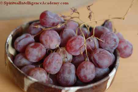 Grapes after 4 months in the fridge. Not even Mildew touches it!